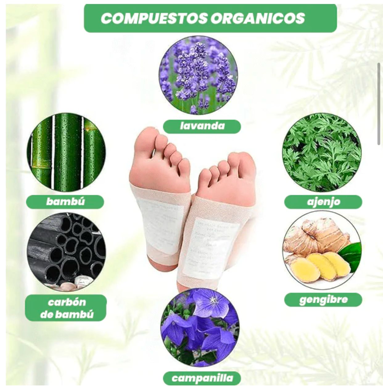 ITSUKI KENKO- DETOX JAPONÉS PARA RENOVAR TU ENERGÍA