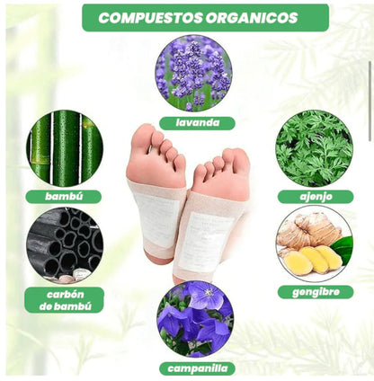 ITSUKI KENKO- DETOX JAPONÉS PARA RENOVAR TU ENERGÍA